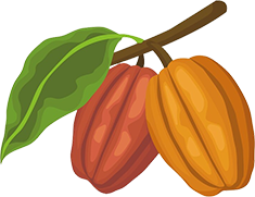 cacau 1